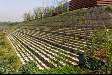 西安生态植草砖-台阶式平台