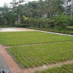 西安生态植草砖